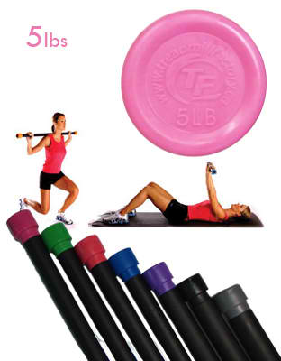 Element Fitness 5lbs Workout Body Bar Fitness Accessories Canada.