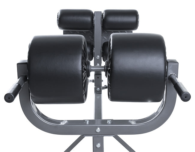 Element Fitness Glute Ham Developer (GHD) Machine Strength Machines Canada.