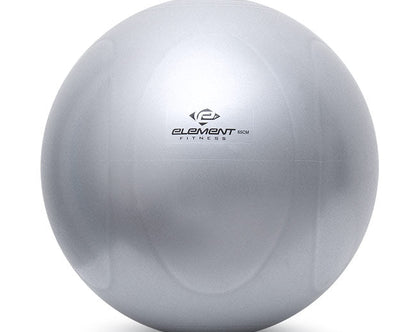 Element Fitness Commercial 65cm Stability Ball Fitness Accessories Canada.