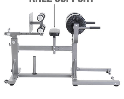 Element Fitness Glute Ham Developer (GHD) Machine Strength Machines Canada.