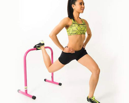 Lebert Equalizer - Pink Strength & Conditioning Canada.