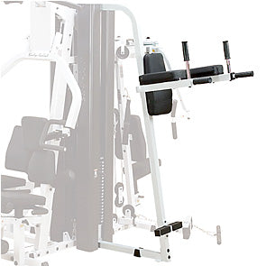 Vertical Knee Raise Attachment VKR30 Strength Machines Canada.